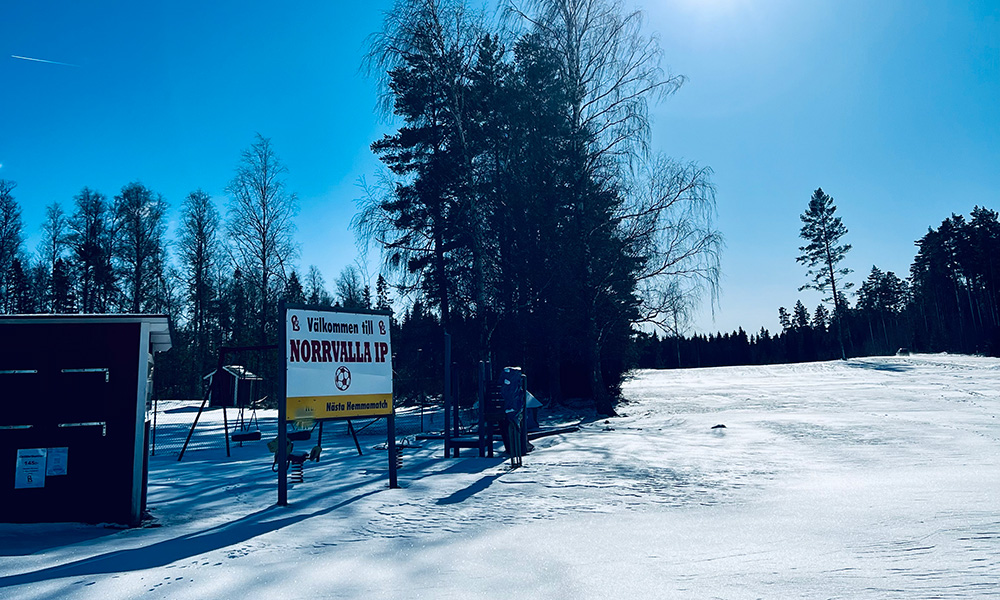 Sammanfattning av årsmötet